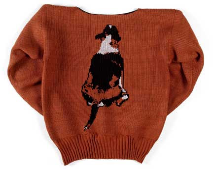 Fotoknit sweater — back